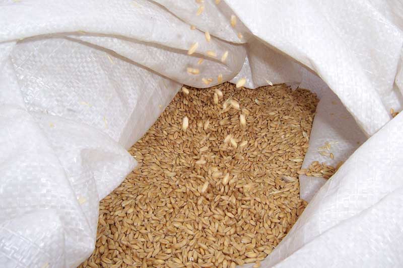 WMC grau sac cereale