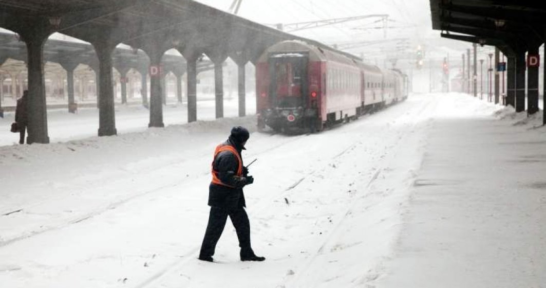 tren ninsoare